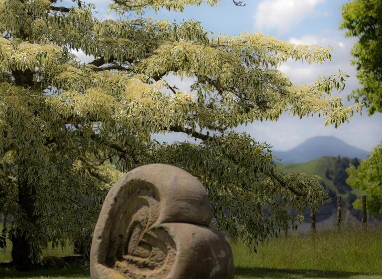 مبيت وإفطار Omaka Lodge