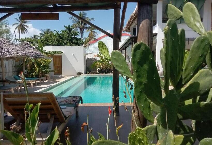 住宿加早餐 Villa Huruma