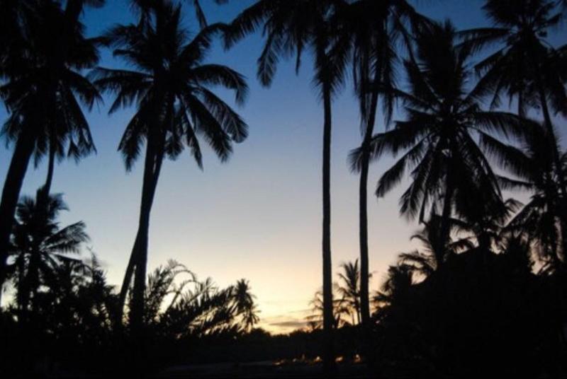 בית מלון כפרי Blue Moon Resort