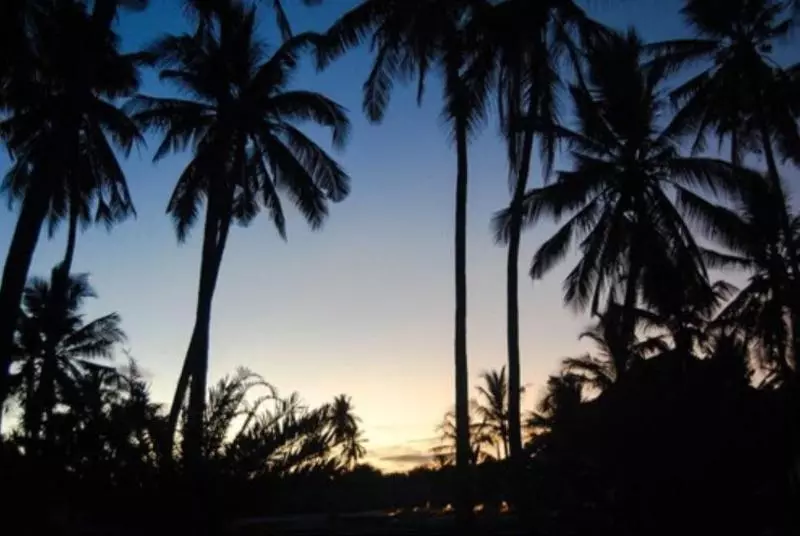 ホテル Blue Moon Resort