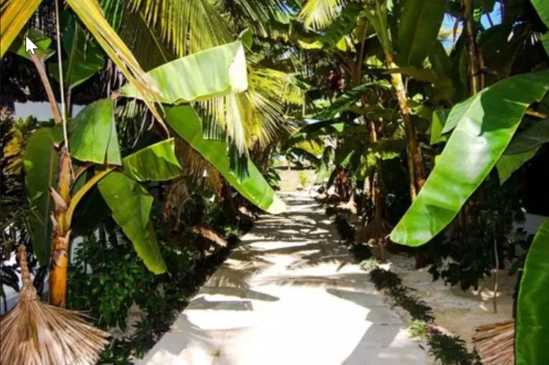 ホテル Blue Moon Resort