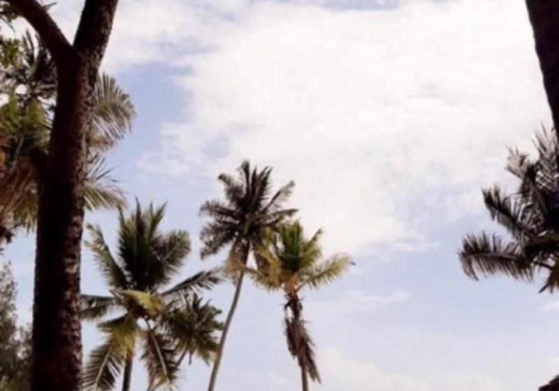 בית מלון כפרי Blue Moon Resort