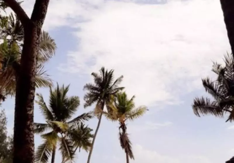 ホテル Blue Moon Resort