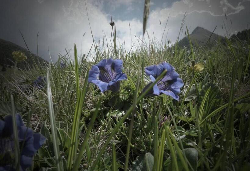 ベッドアンドブレックファースト Haus Peskoller