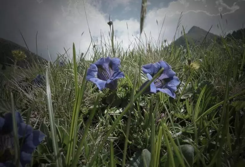 ベッドアンドブレックファースト Haus Peskoller