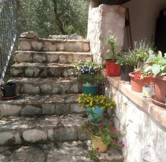 تختخواب و صبحانه Terramadre