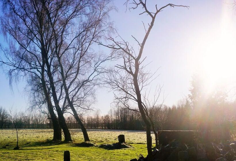 فندق Pharos Zur Seeve