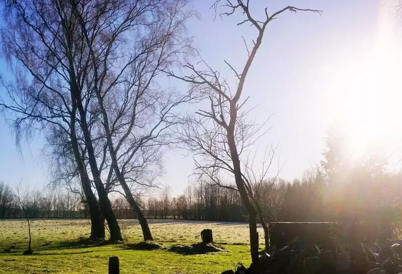 Hotelli Pharos Zur Seeve