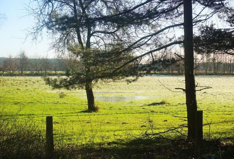 فندق Pharos Zur Seeve