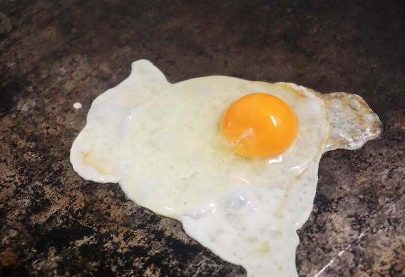 فندق Pharos Zur Seeve