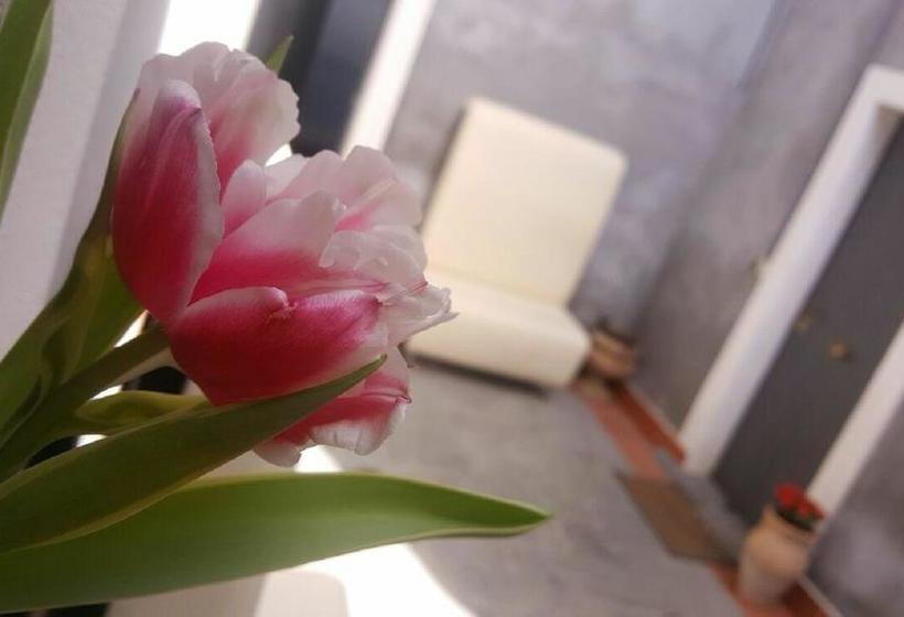 تختخواب و صبحانه I Cappuccini Rooms