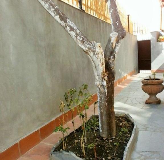 تختخواب و صبحانه I Cappuccini Rooms