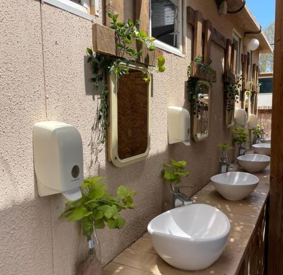 ユースホステル Ein Gedi Camp Lodge