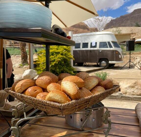 ユースホステル Ein Gedi Camp Lodge