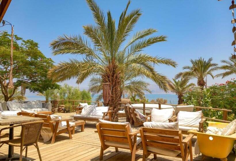 ユースホステル Ein Gedi Camp Lodge