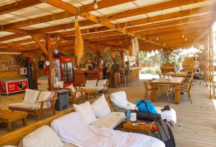 ユースホステル Ein Gedi Camp Lodge