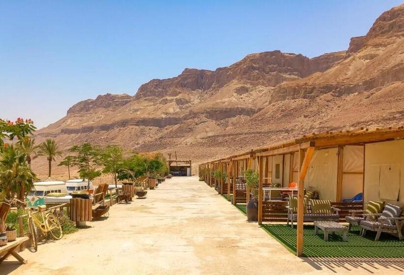 ユースホステル Ein Gedi Camp Lodge