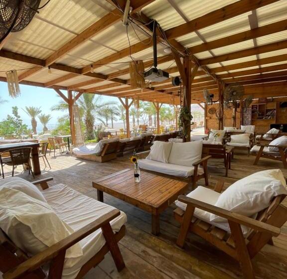 ユースホステル Ein Gedi Camp Lodge