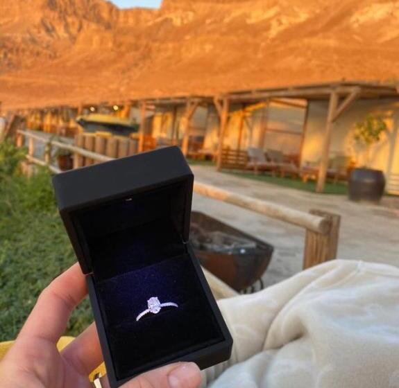 ユースホステル Ein Gedi Camp Lodge