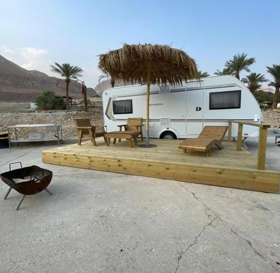 ユースホステル Ein Gedi Camp Lodge