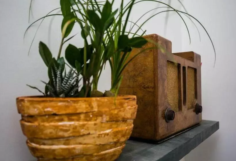 تختخواب و صبحانه Casa Retro