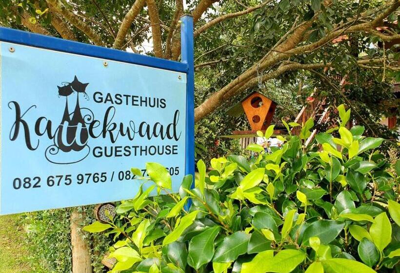 Bed and Breakfast Kattekwaad Accommodation