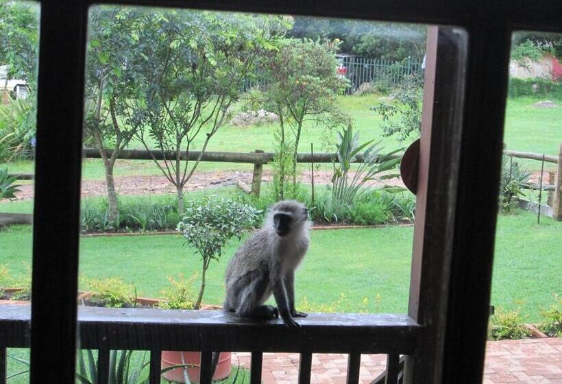 Bed and Breakfast Kattekwaad Accommodation