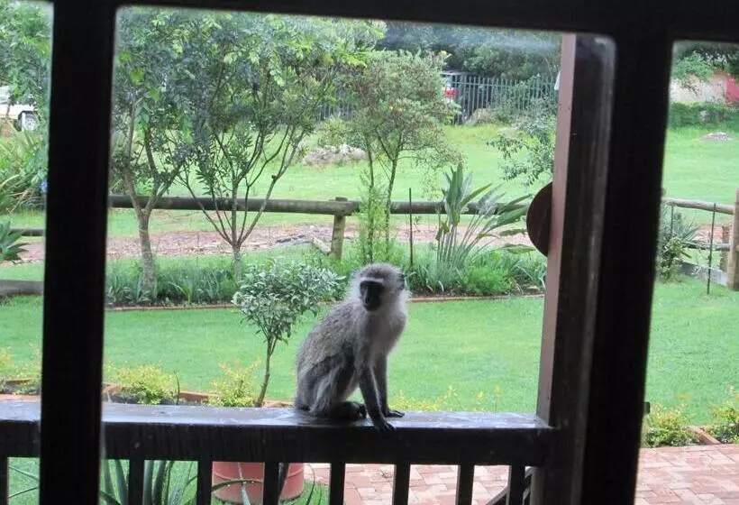 Aamiaismajoitus (B&B) Kattekwaad Accommodation