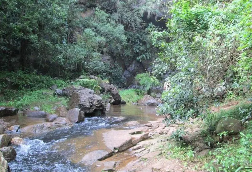 Aamiaismajoitus (B&B) Kattekwaad Accommodation