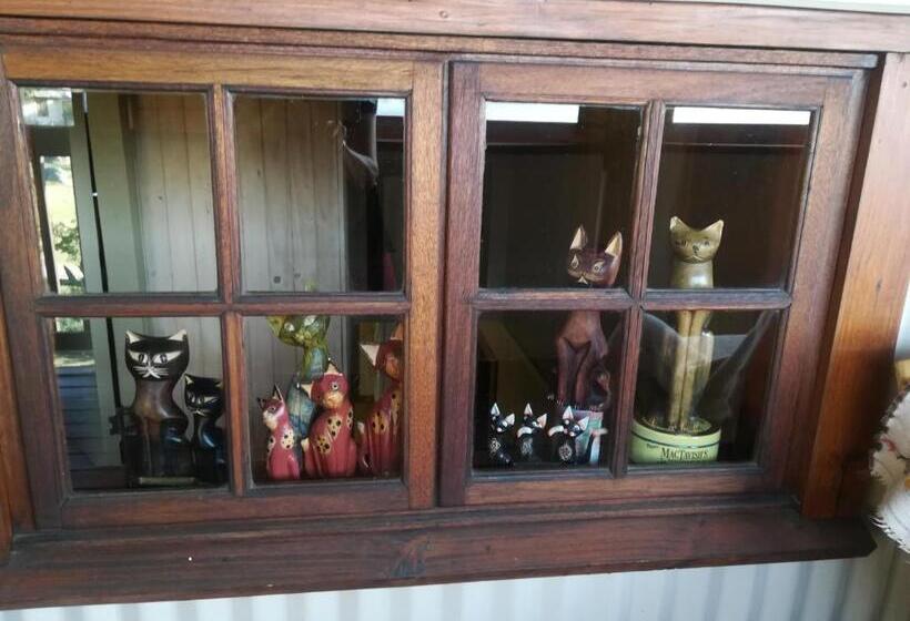 Bed and Breakfast Kattekwaad Accommodation