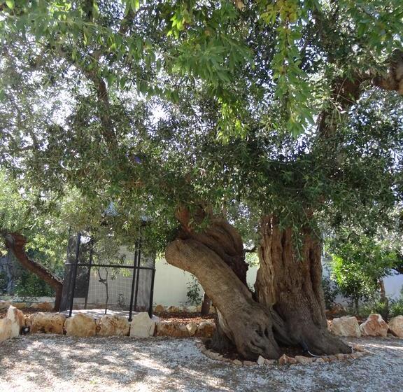 مبيت وإفطار L Antico Casolare