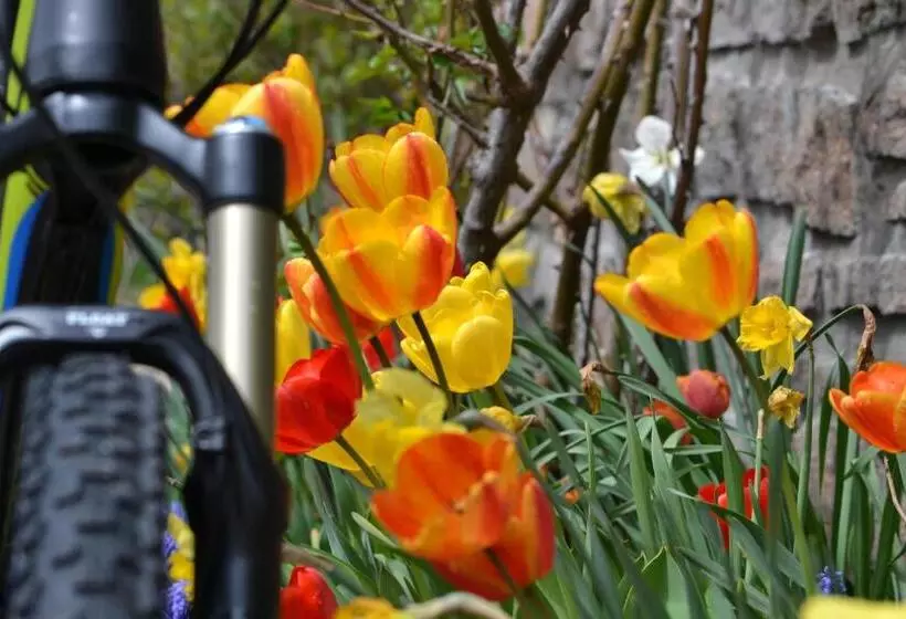 Hotel Berghaus Rosengarten