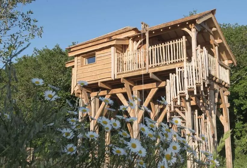 Hotelli Dihan Evasion