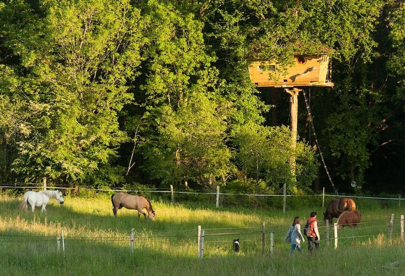בית מלון כפרי Dihan Evasion