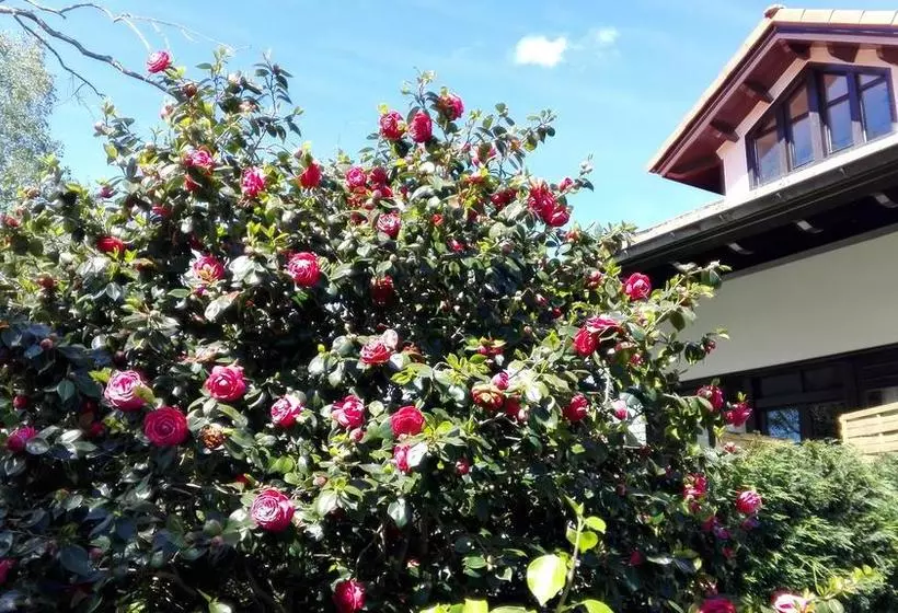 Hotelli Rural El Pagadín