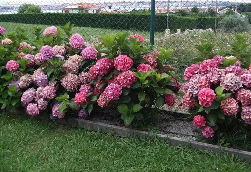 Hotelli Y Apartamentos Sur De La Bahía