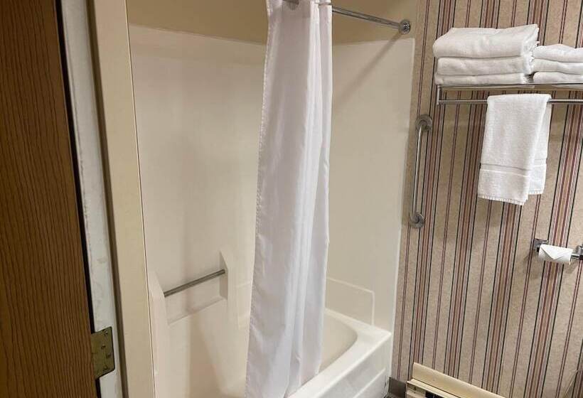 فندق على الطريق Dollinger's Motor Inn