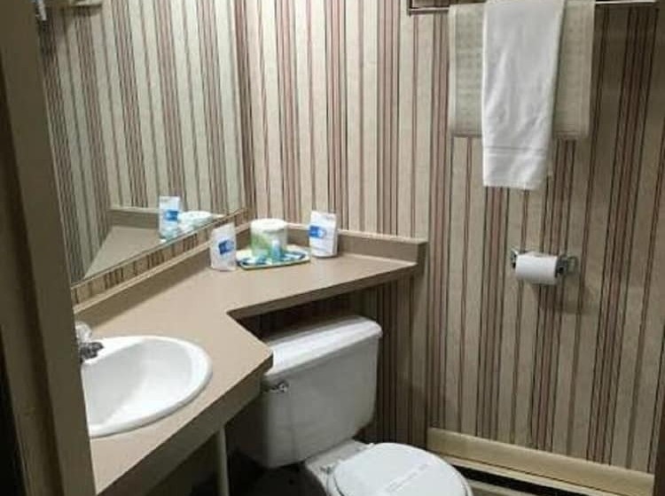 فندق على الطريق Dollinger's Motor Inn