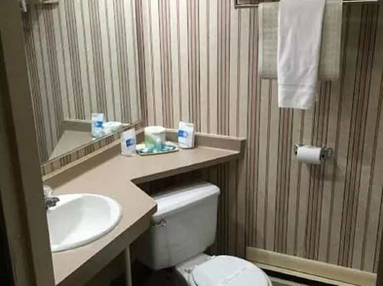 Motelli Dollinger's Motor Inn