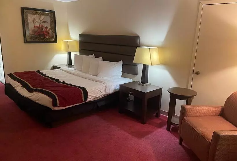 Motelli Dollinger's Motor Inn