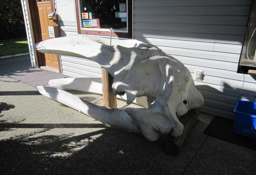 Wild Coast Wilderness Resort