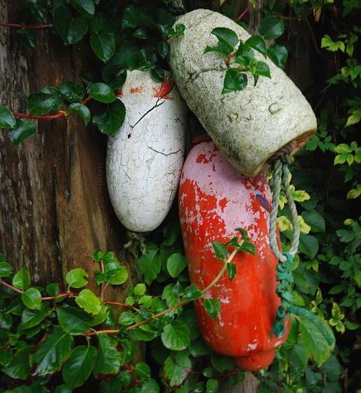 Wild Coast Wilderness Resort