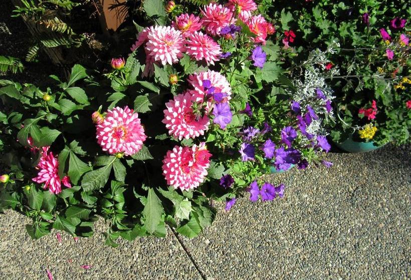 Wild Coast Wilderness Resort