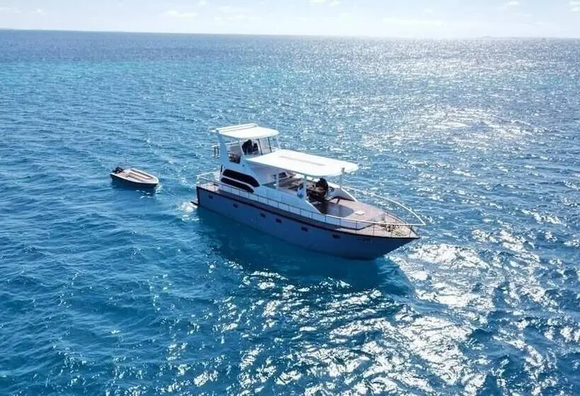 هتل Odyssey Of Sunny Side