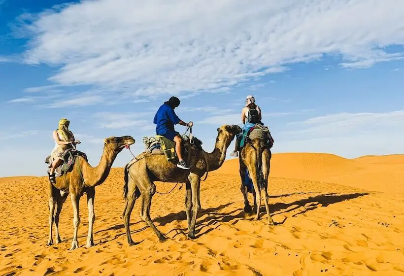 ホテル Sanmao Desert Luxury Camp