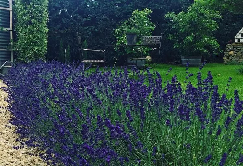 ベッドアンドブレックファースト Elm Cottage Barn