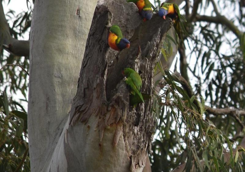 צימר Mapleton Springs