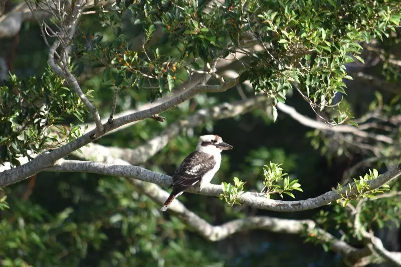 Bed and Breakfast Mapleton Springs