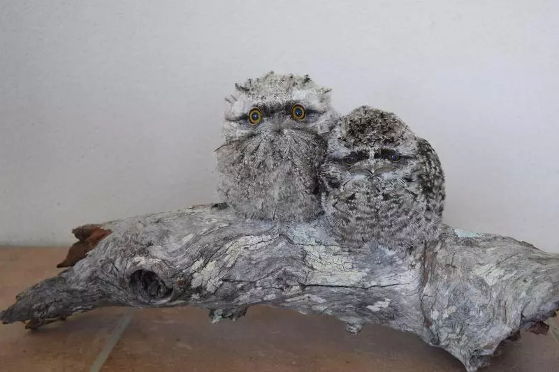 Bed and Breakfast Mapleton Springs