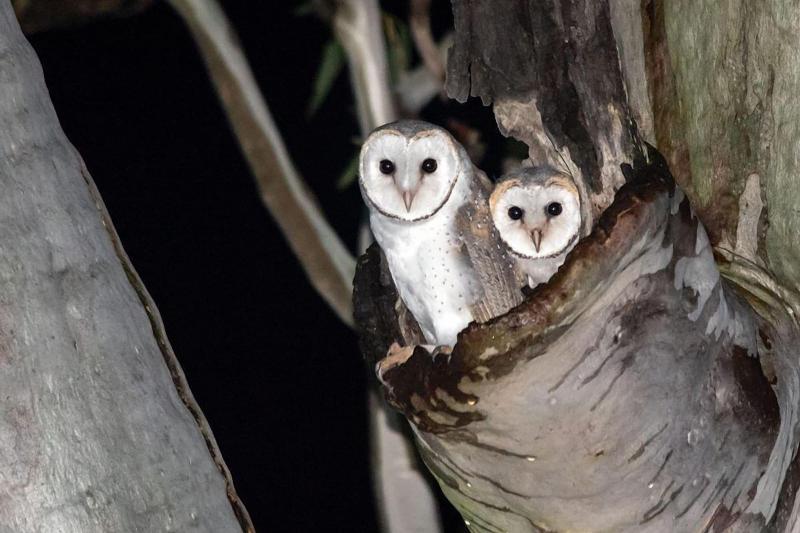 צימר Mapleton Springs